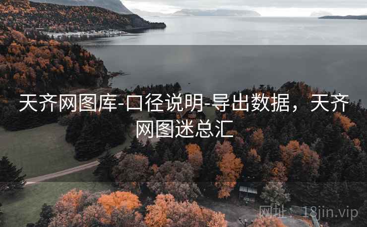 天齐网图库-口径说明-导出数据，天齐网图迷总汇