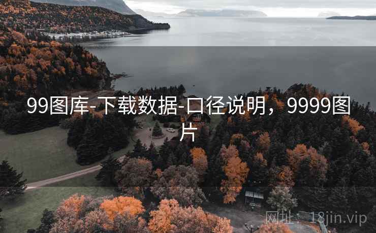 99图库-下载数据-口径说明，9999图片